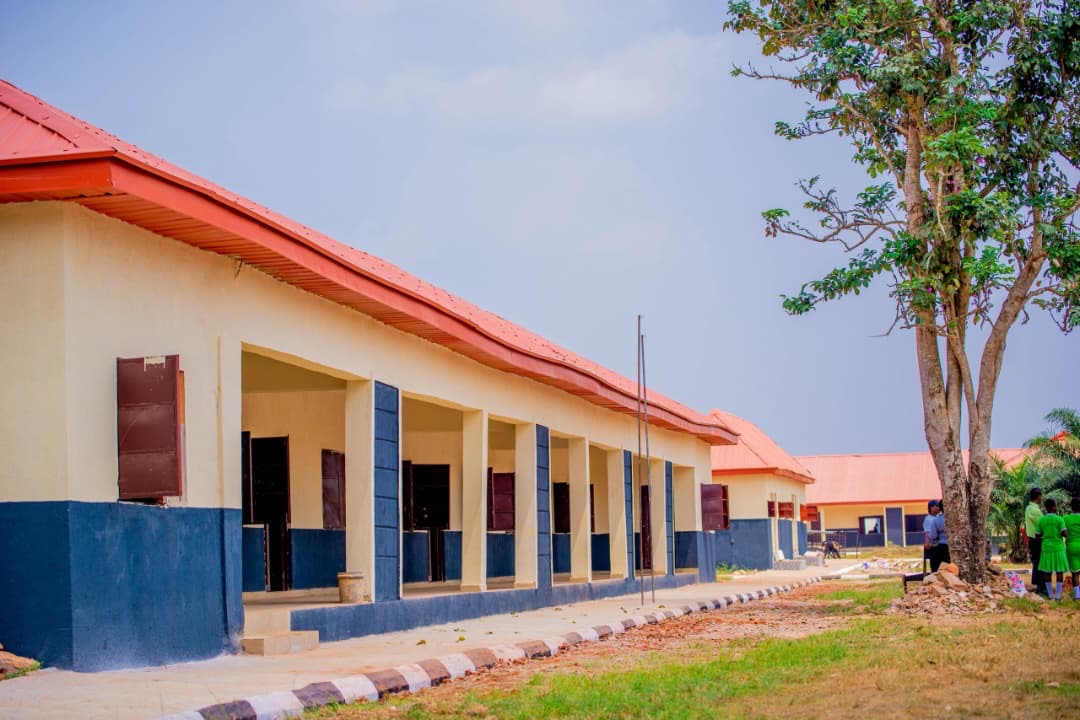 8fd2e577-8968-4580-8df8-8e18e194b065