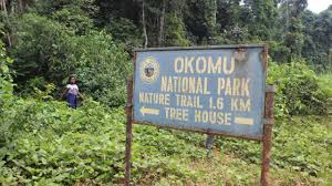 Okomu Forest