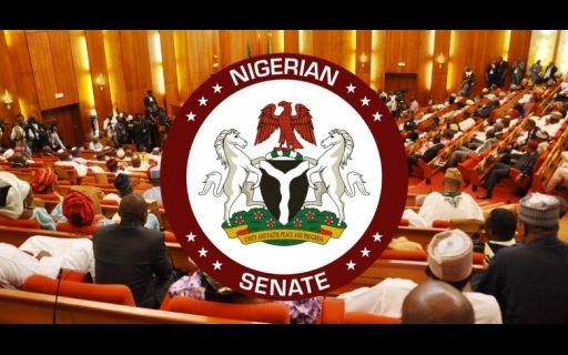 Senate Urges Tinubu to Sever Ties with South Africa Over Xenophobic Attacks