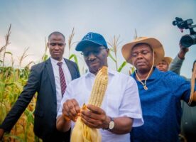 WhatsApp Image 2026-02-04 at 10.40.50 AM