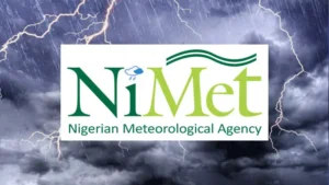 NImet-2-1