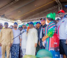 apc-edo-lg-campaign