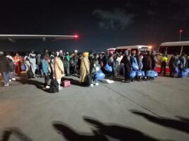iom returns