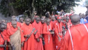 TRADITIONAL DOCTORS