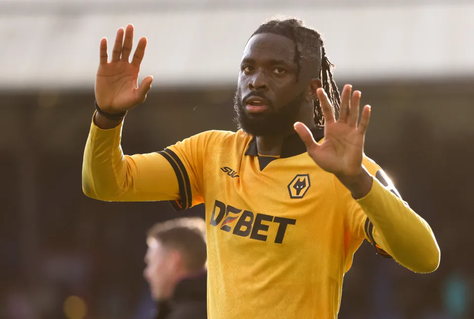 tolu-arokodare-wolverhampton-wanderers-1061325165