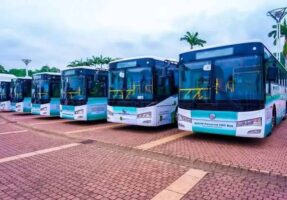 cng buses