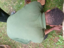 IMG-20261021-WA0109~2
