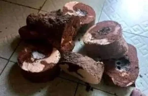 Yam