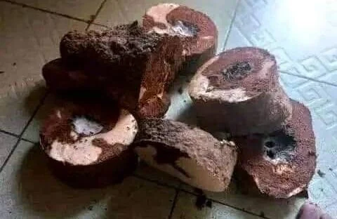 Yam