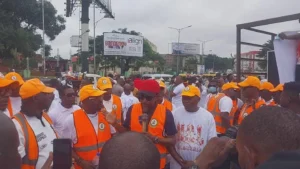 edo security
